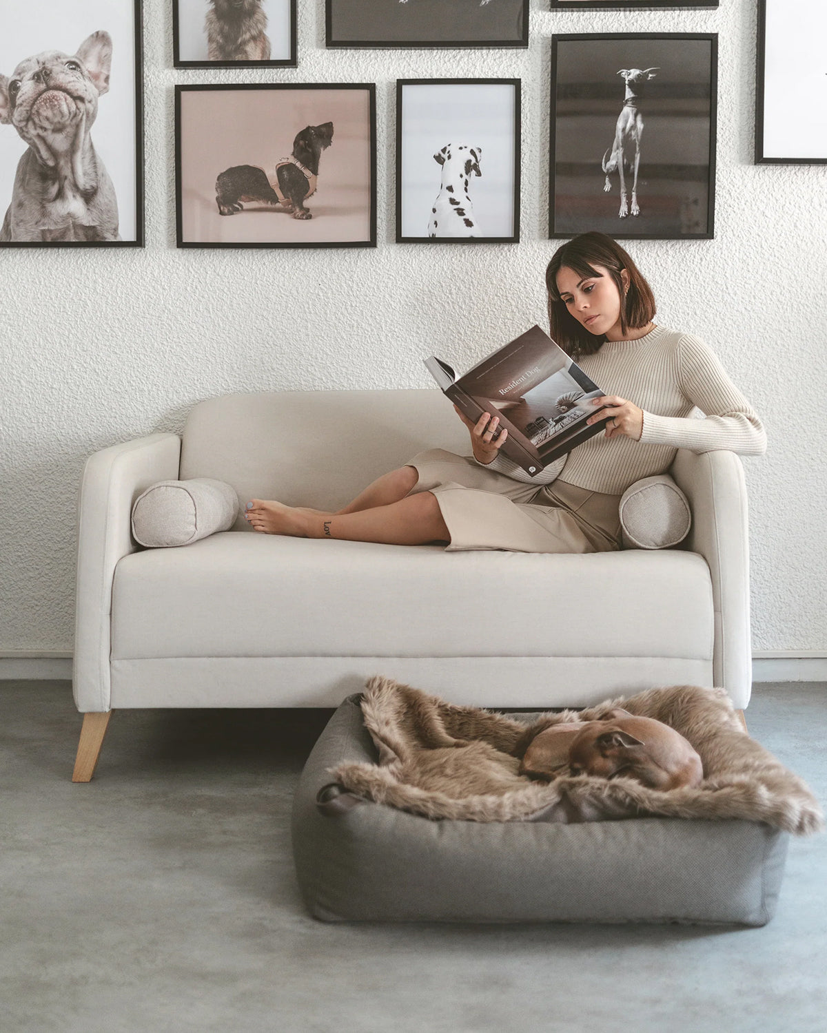 MARE DOG BOX BED | מיטה אורתופדית לכלב