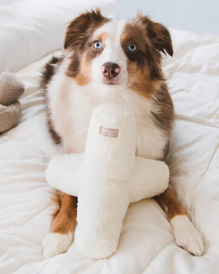 BREUER DOG TOY | צעצוע לכלב