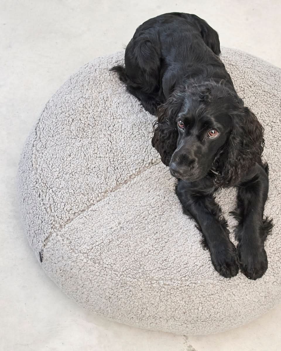 SENSO DOG ORTHOPEDIC POUFFE | מיטת פוף אורתופדית לכלב