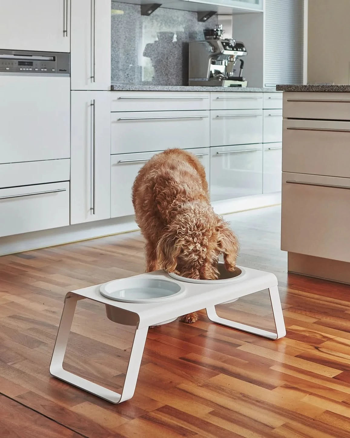 REPLACEMENT DOG BOWLS | קערות להחלפה למעמדי קערות לכלבים