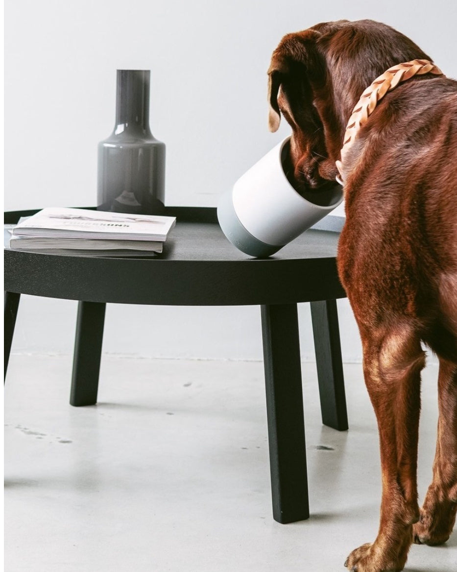 COPPA DOG & CAT TREAT JAR | צנצנת טיפים לכלבים ולחתולים