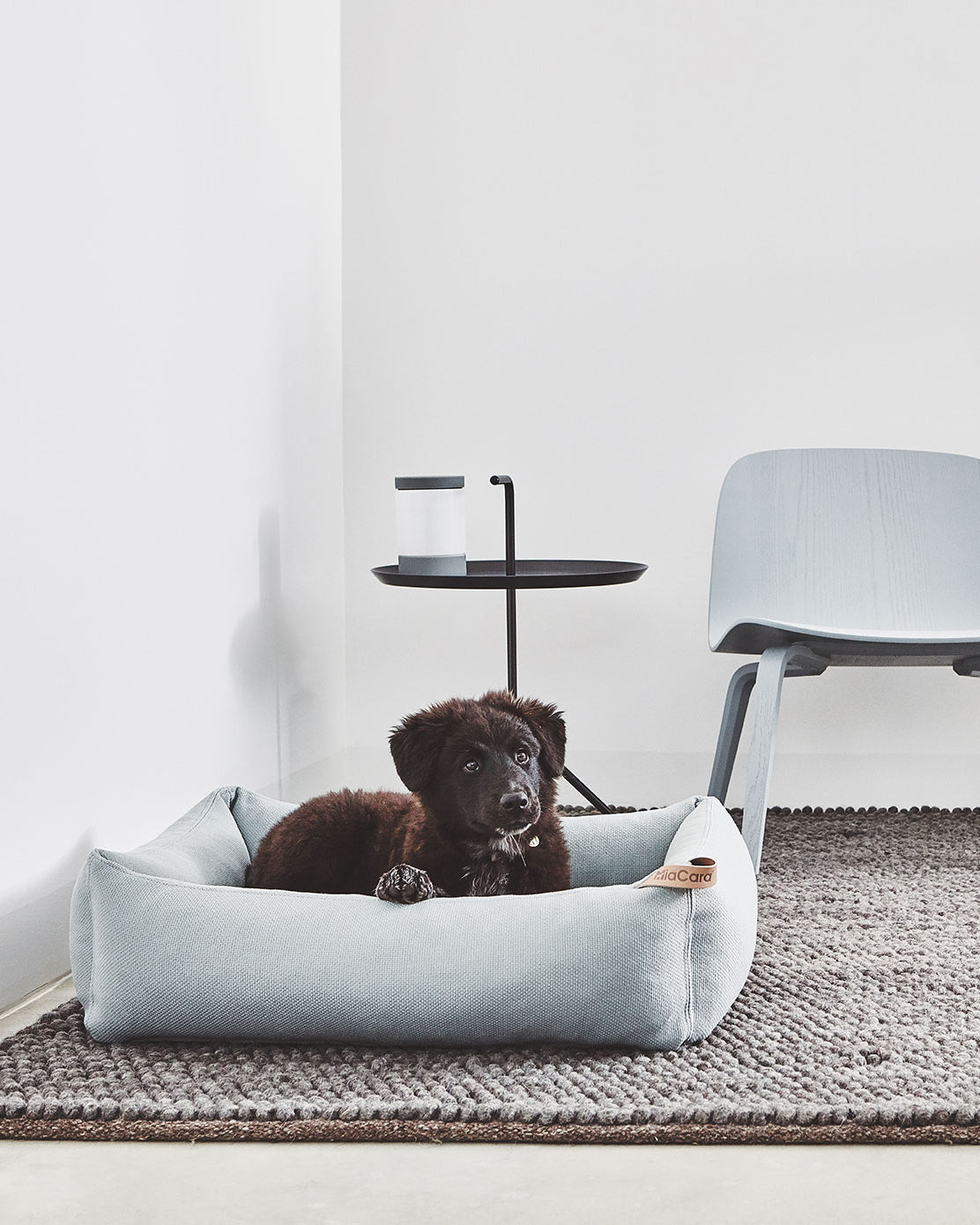 SONNO DOG BOX BED | מיטה לכלב