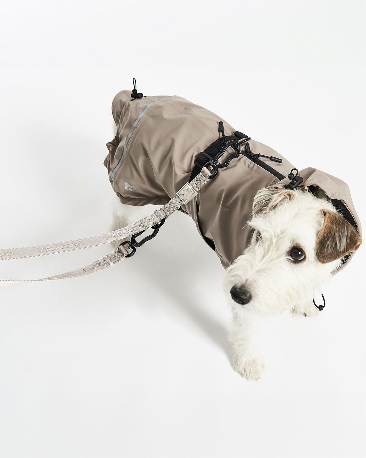 MODENA ADJUSTABLE LEASH | רצועה מתכווננת לכלב