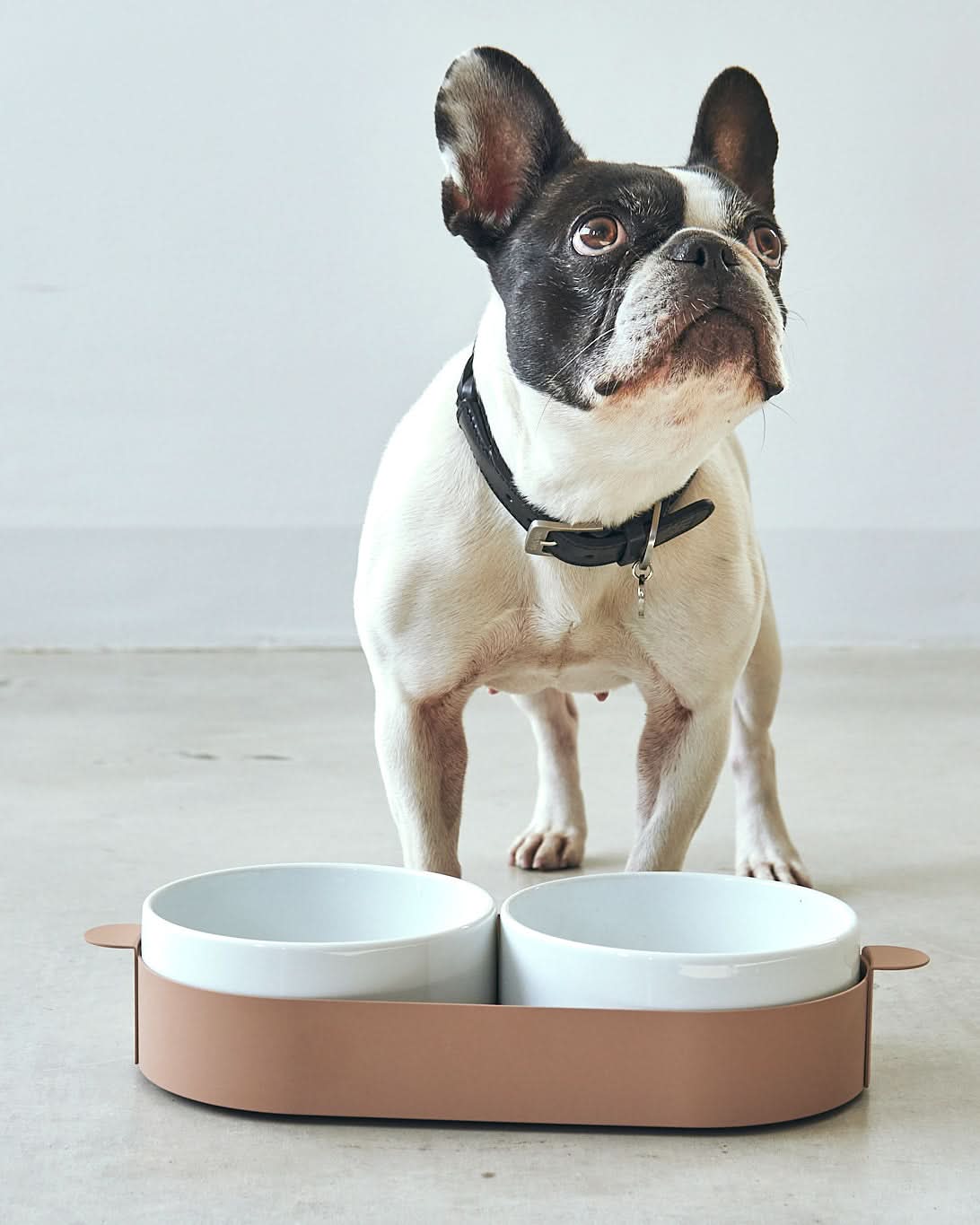 סט קערות לחתול וכלב