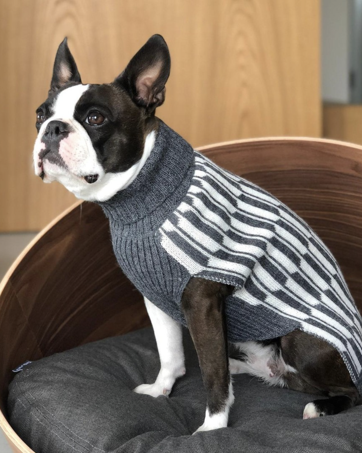 מיטת עץ לכלב