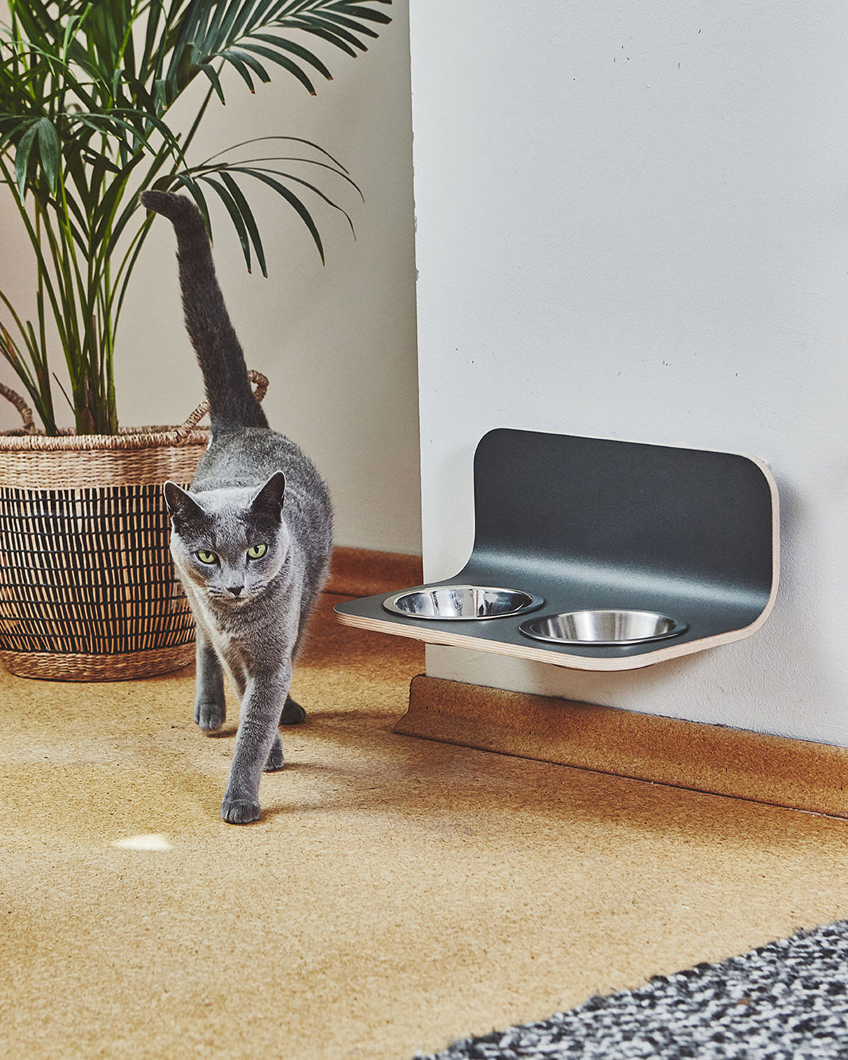 פינות אוכל לחתולים וכלבים