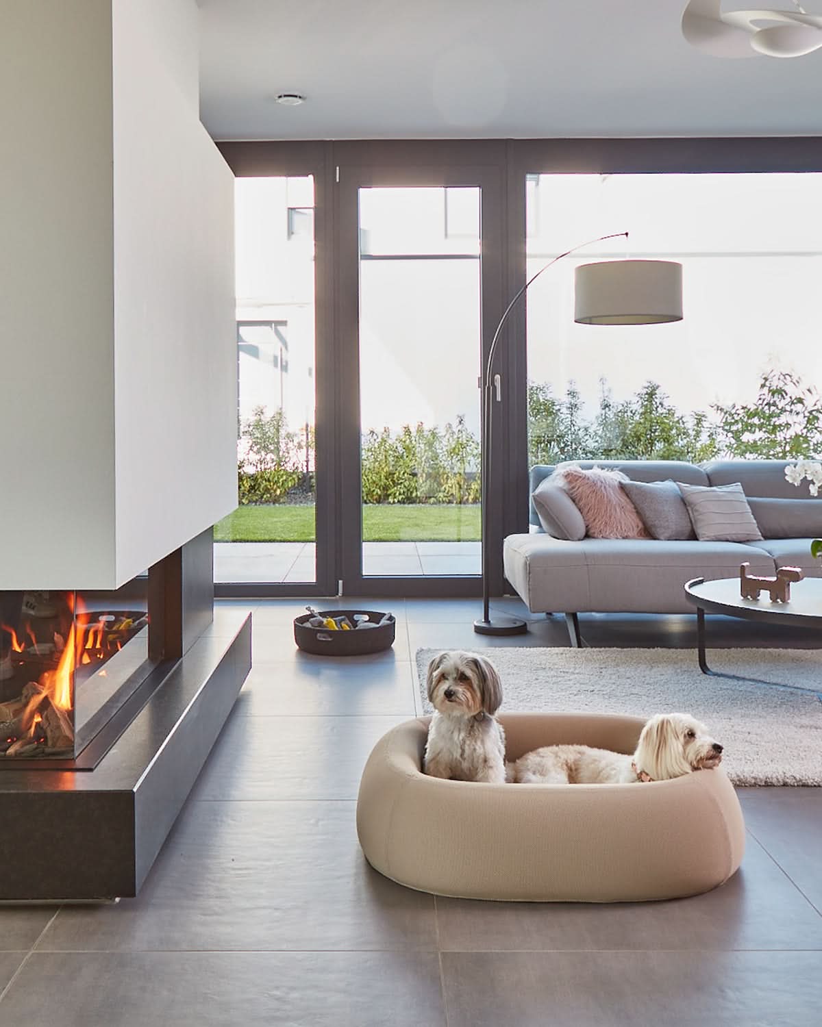 מיטה אורתופדית לכלב | BARCA ORTHOPEDIC DOG BED