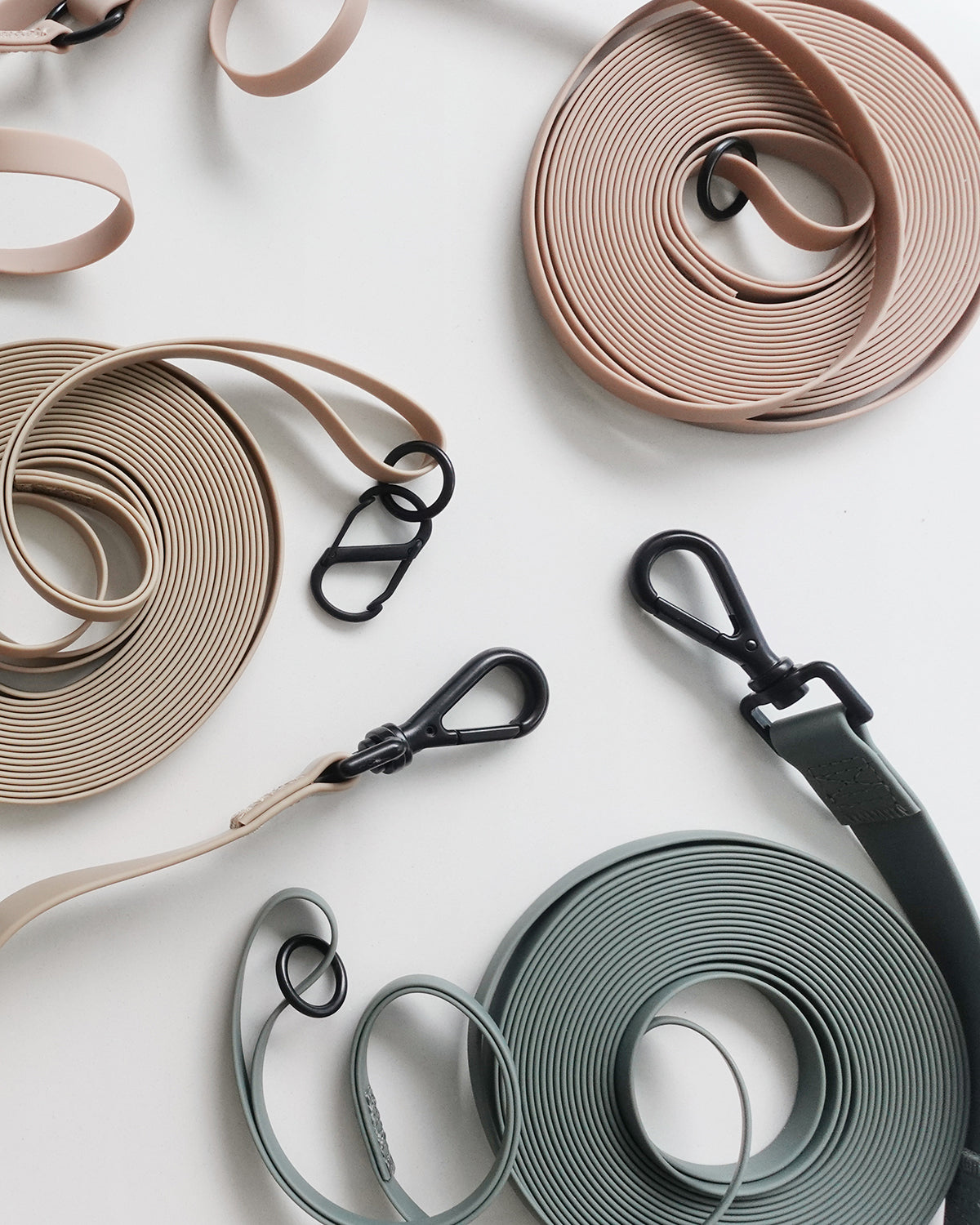 NOMAD LONG TRAINING LEAD | רצועת אילוף לכלב