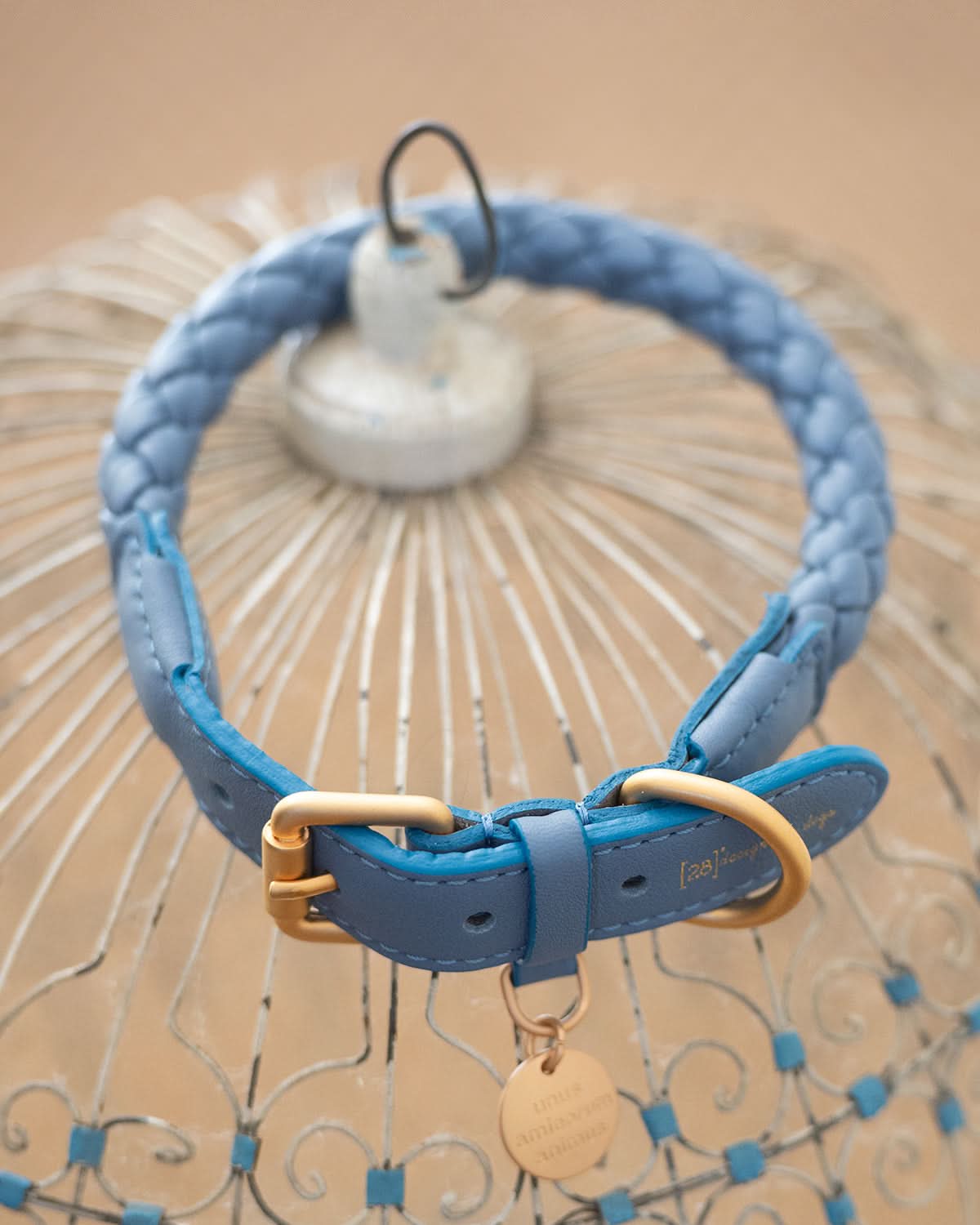 קולר עור לכלבים