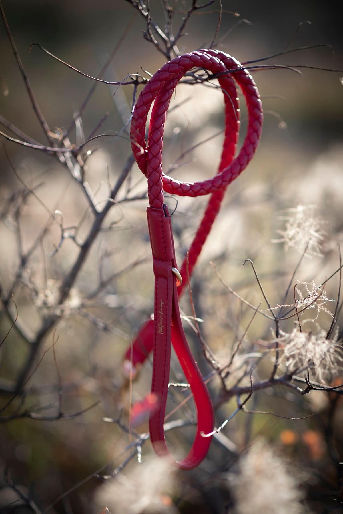 FERDINANDO NAPPA LEATHER LEASH | רצועת עור נאפה לכלב