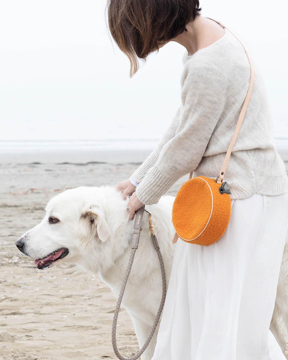 רצועת עור לכלב