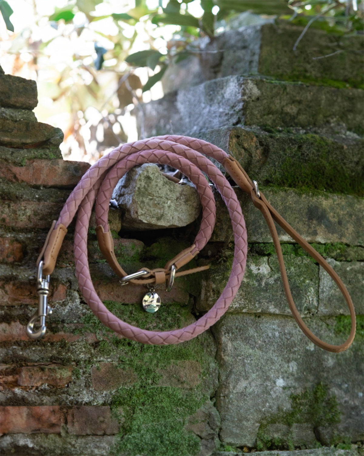 רצועת עור טבעוני לכלב
