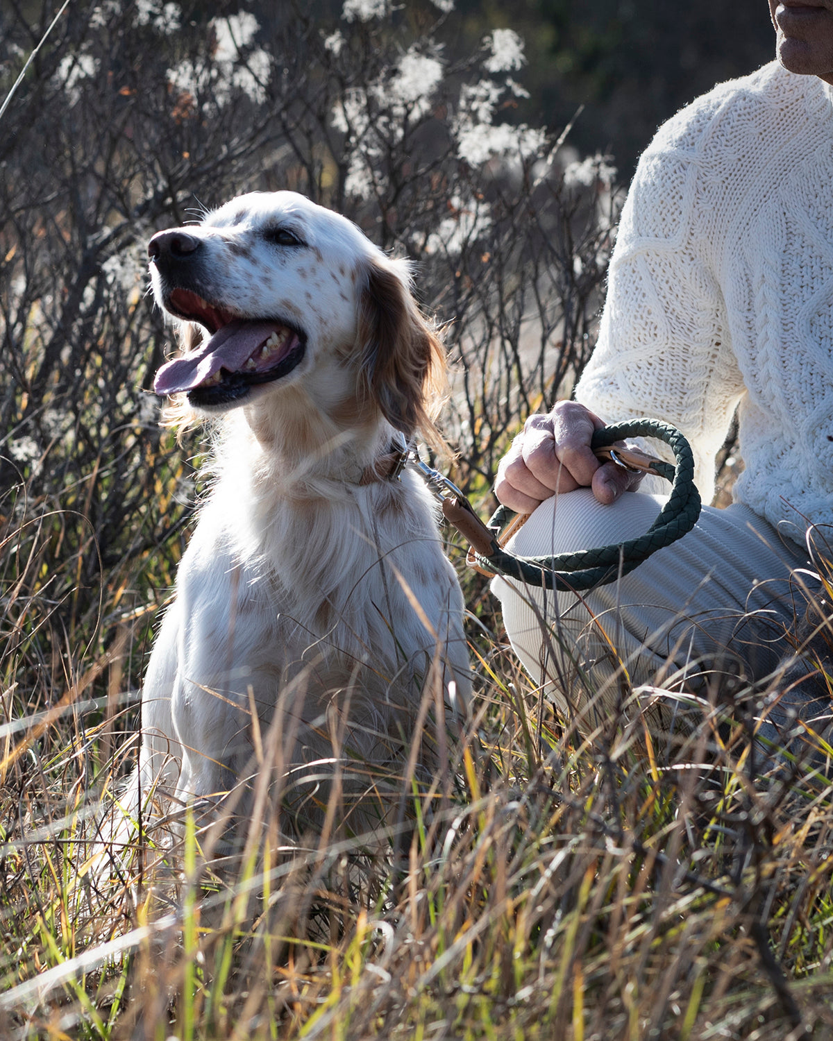 רצועת עור טבעוני לכלב