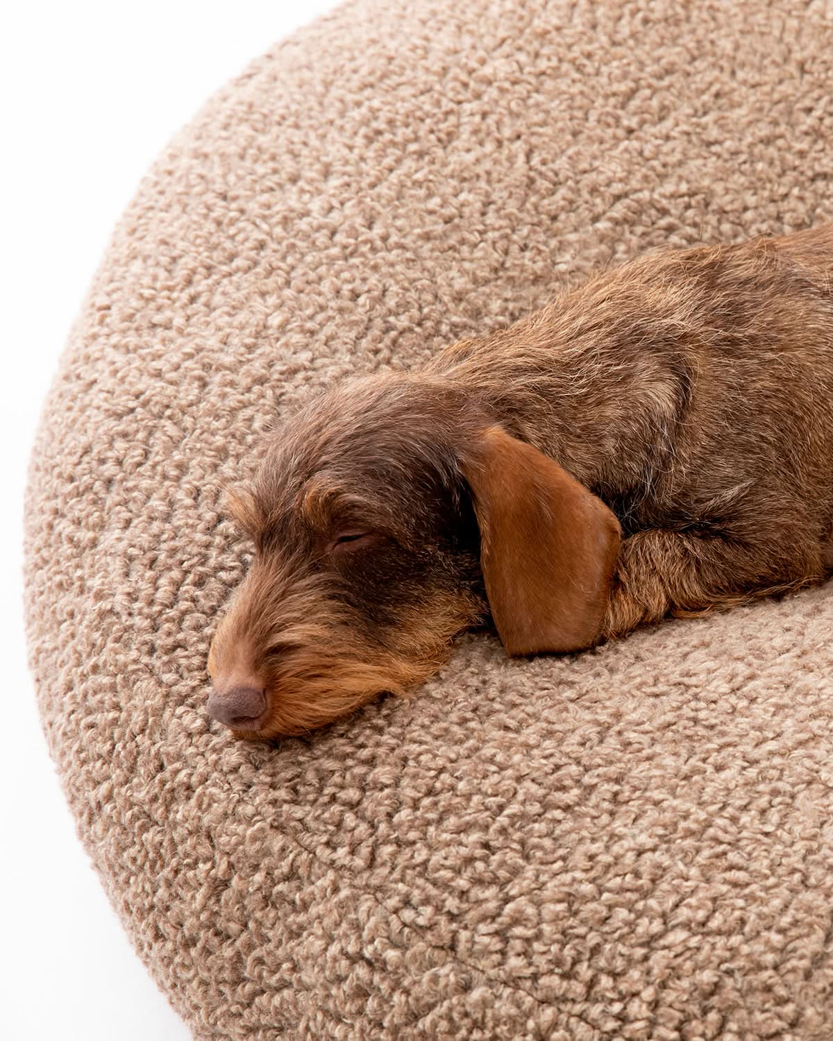 מיטת פוף לכלב