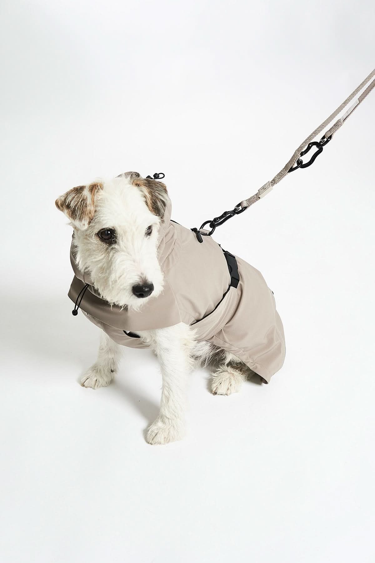 MODENA ADJUSTABLE LEASH | רצועה מתכווננת לכלב