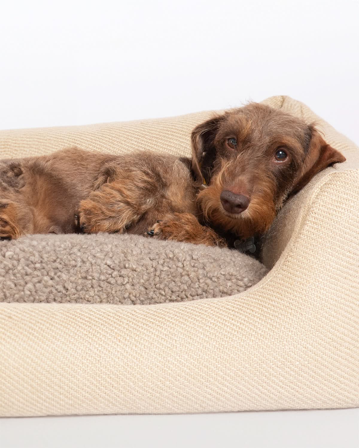 HENRI JUTE DOG BED | מיטה לכלב
