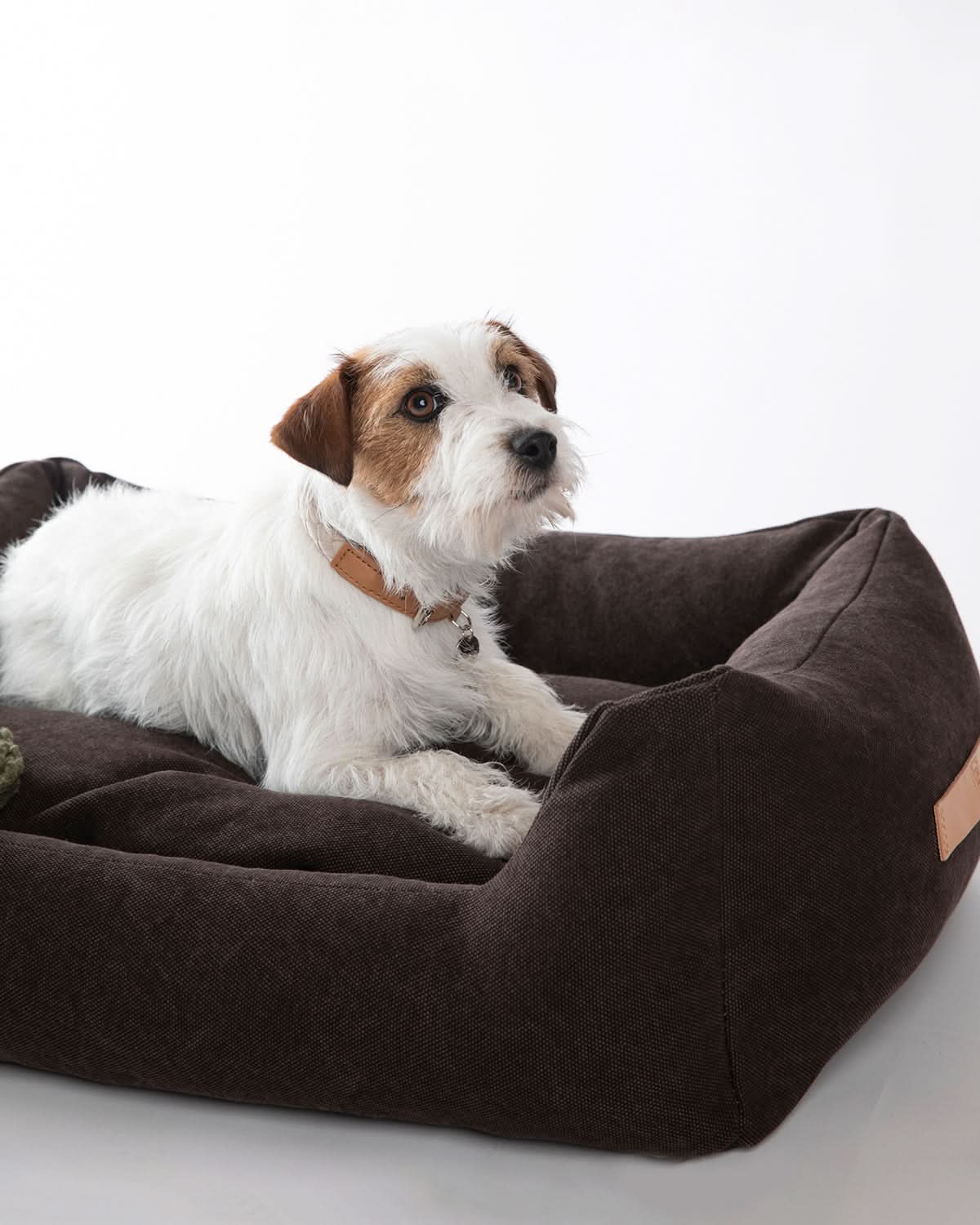 HENRI ORGANIC COTTON DOG BED | מיטה לכלב