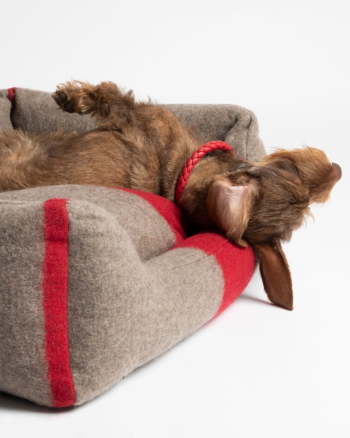 HENRI RECYCLED WOOL DOG BED | מיטה לכלב