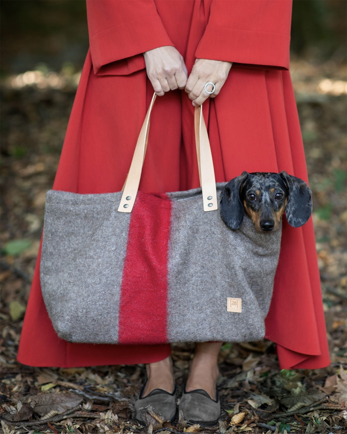 תיק נשיאה לכלב