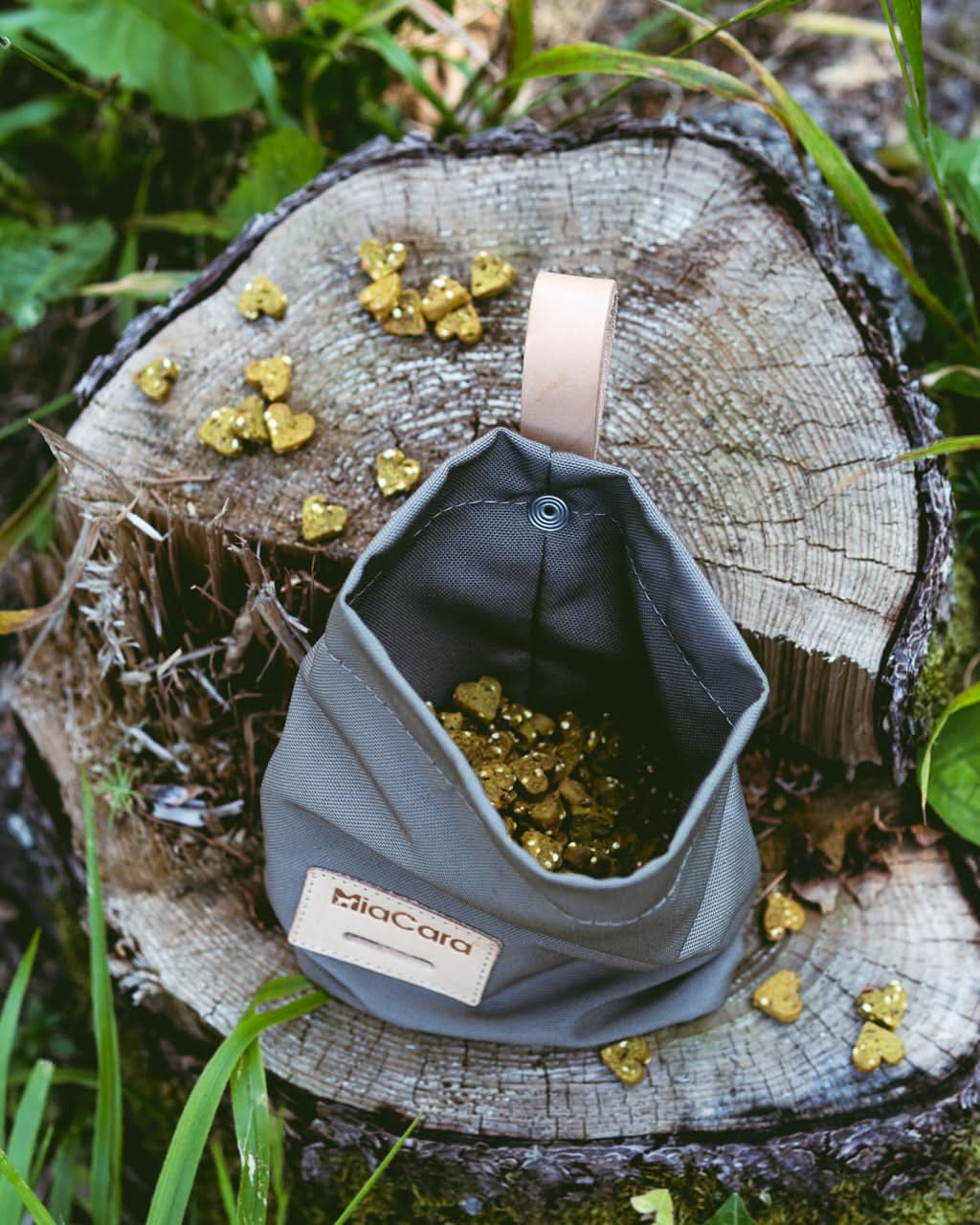 LUPO DOG TREAT BAG | נרתיק חטיפים לכלב