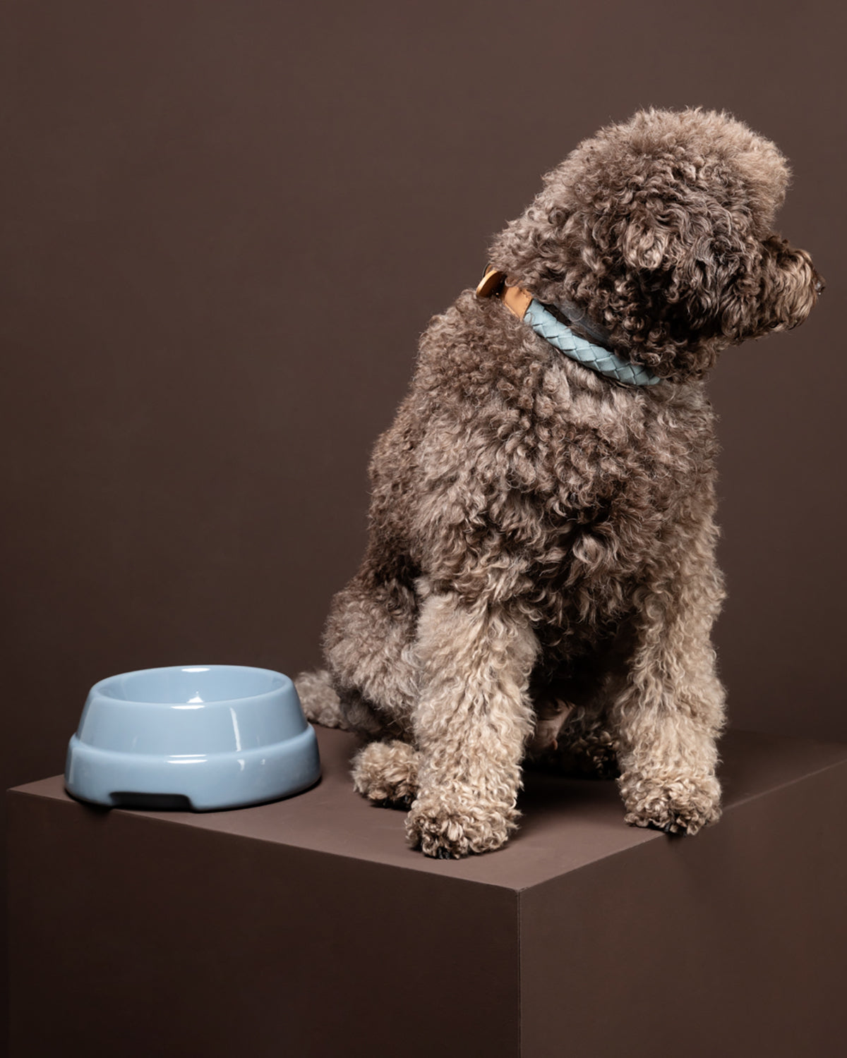 SEBASTIÃO CERAMIC DOG BOWLS |  קערת קרמיקה לכלב
