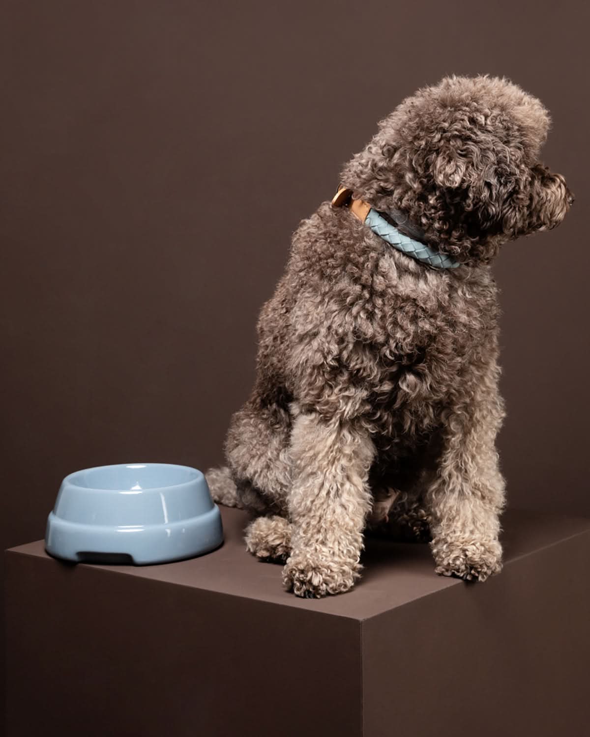 SEBASTIÃO CERAMIC DOG BOWLS | קערת קרמיקה לכלב