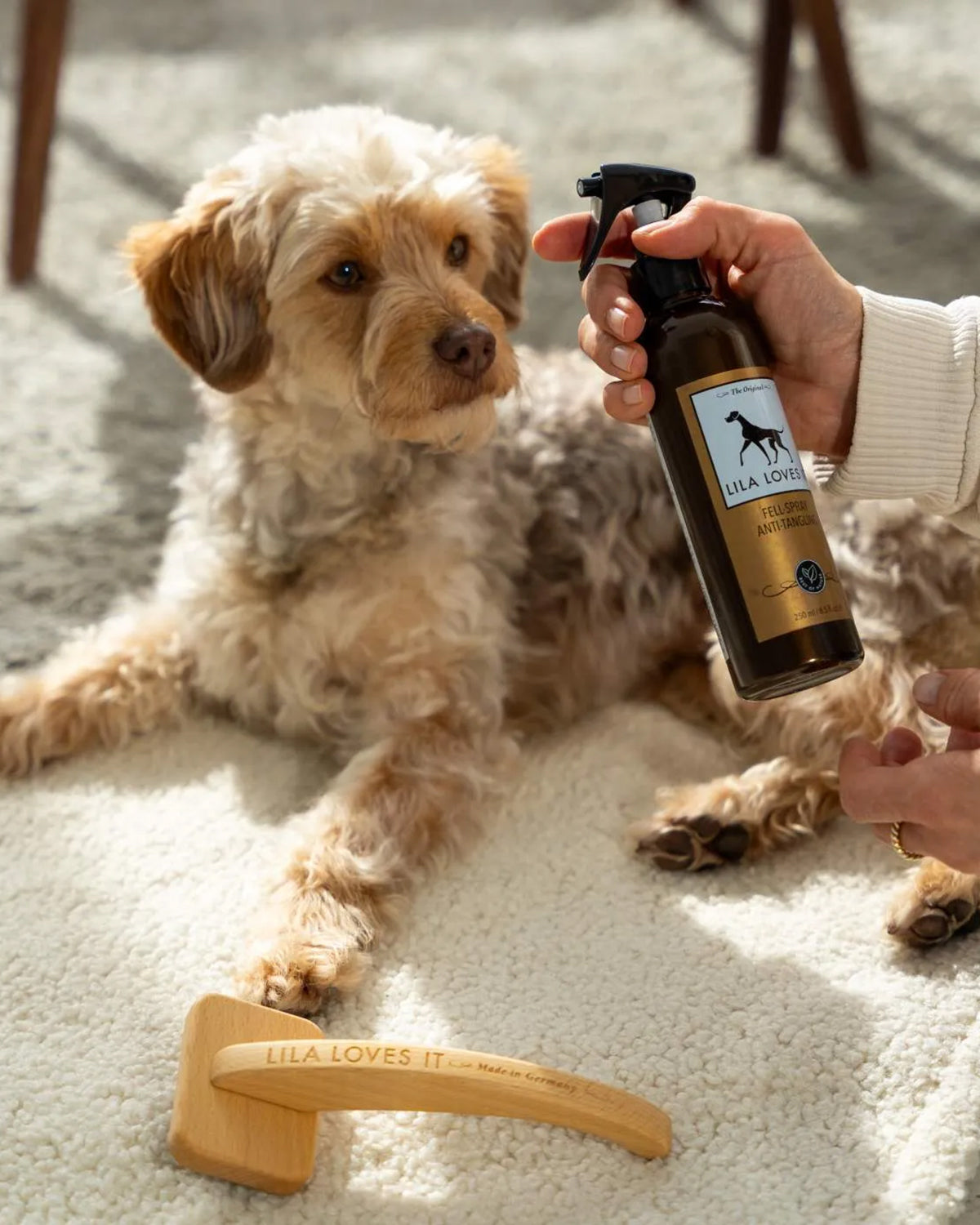 SLICKER DOG BRUSH | מברשת סליקר מקצועית לכלב