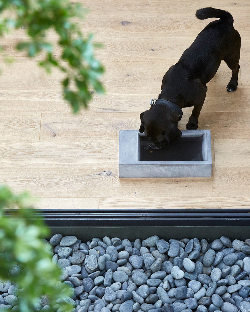 קערת מים בחוץ TROGOLO | קערת מים לחצר לכלב ולחתול