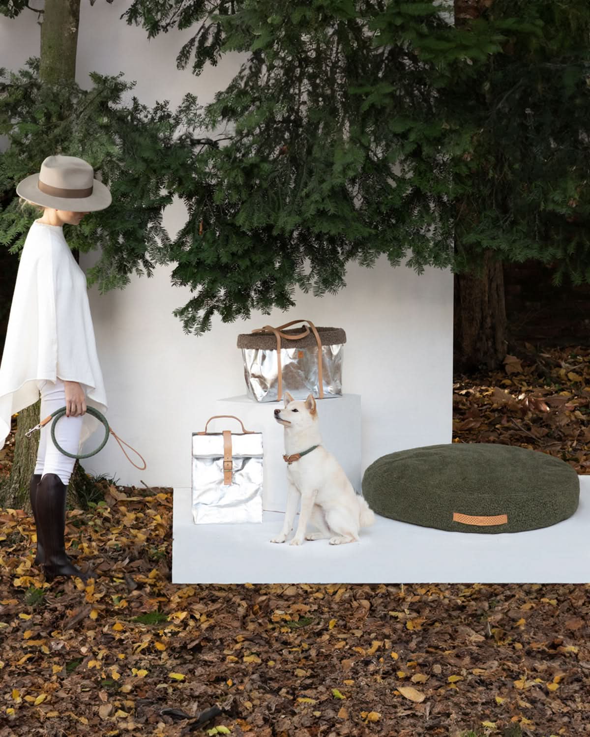 מיטת פוף לכלב