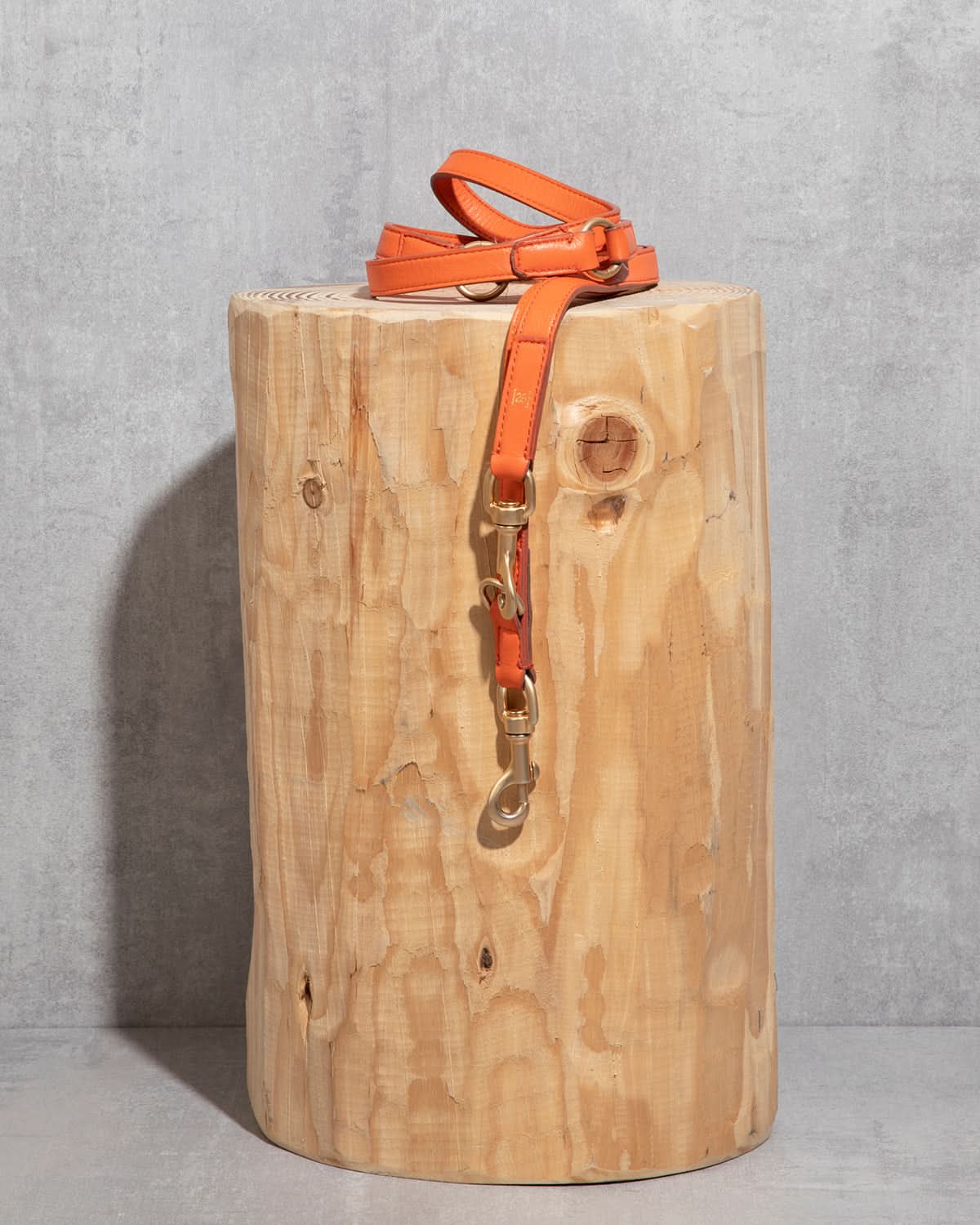 MARIO ADJUSTABLE LEATHER LEASH | רצועת עור מתכווננת לכלב