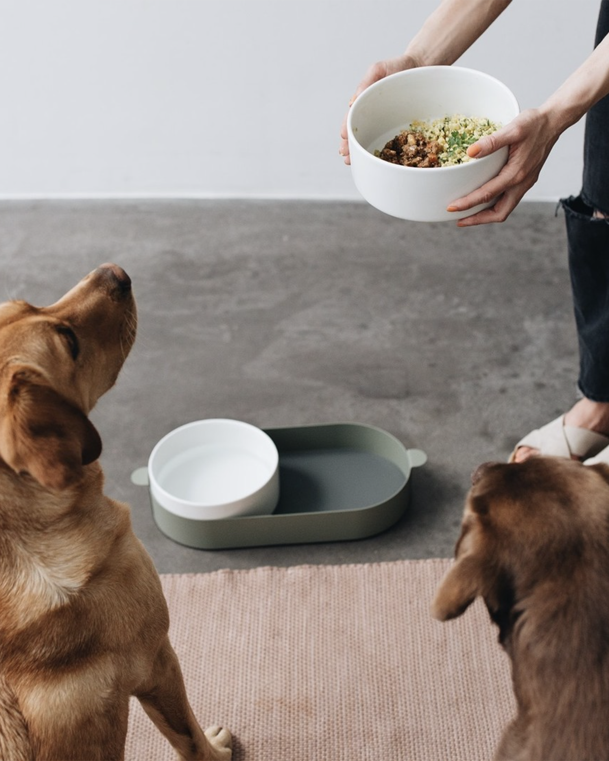 סט קערות לחתול וכלב