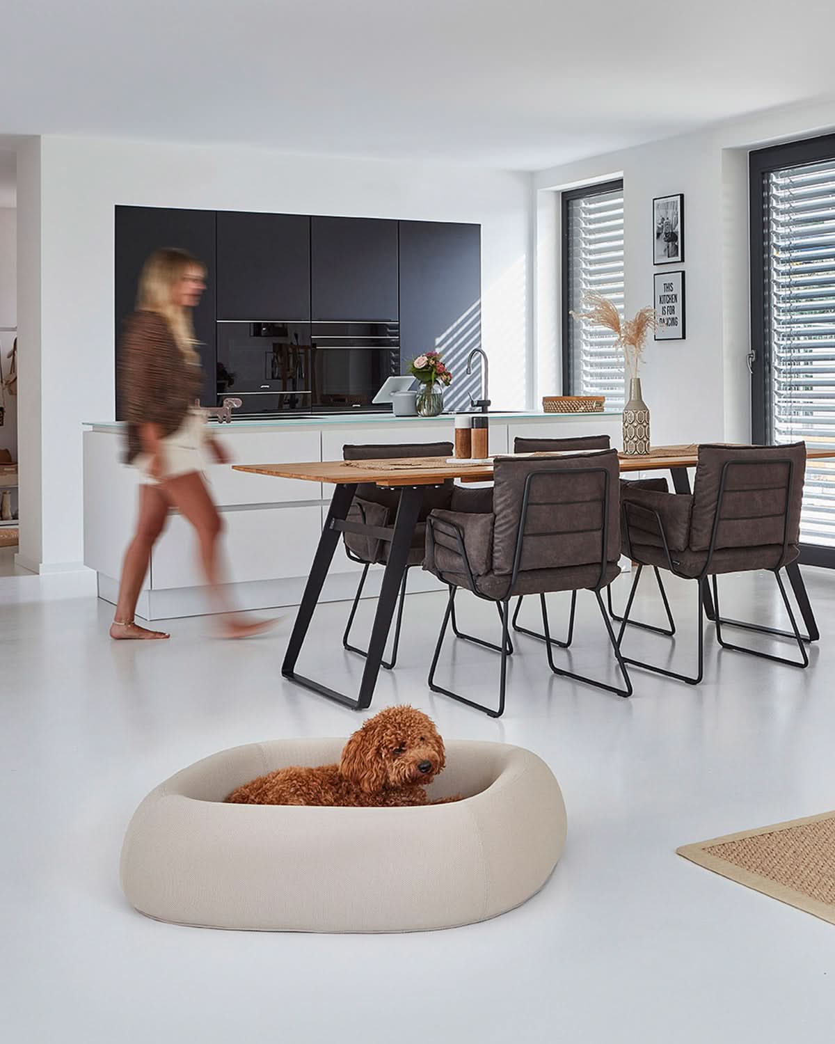 מיטה אורתופדית לכלב | BARCA ORTHOPEDIC DOG BED