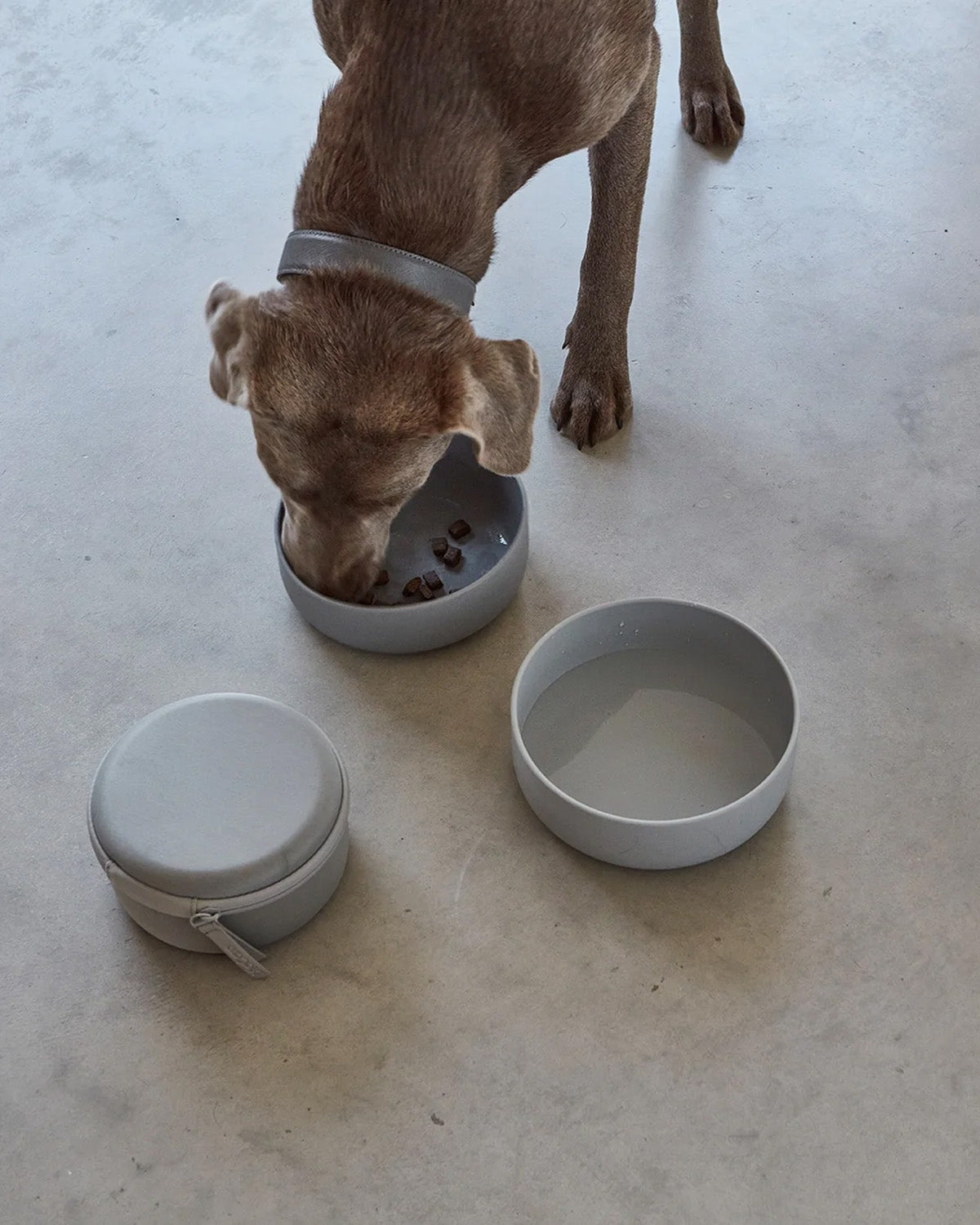 סט BENTO & BOTTIGLIA | סט קערות בנטו ובקבוק מים