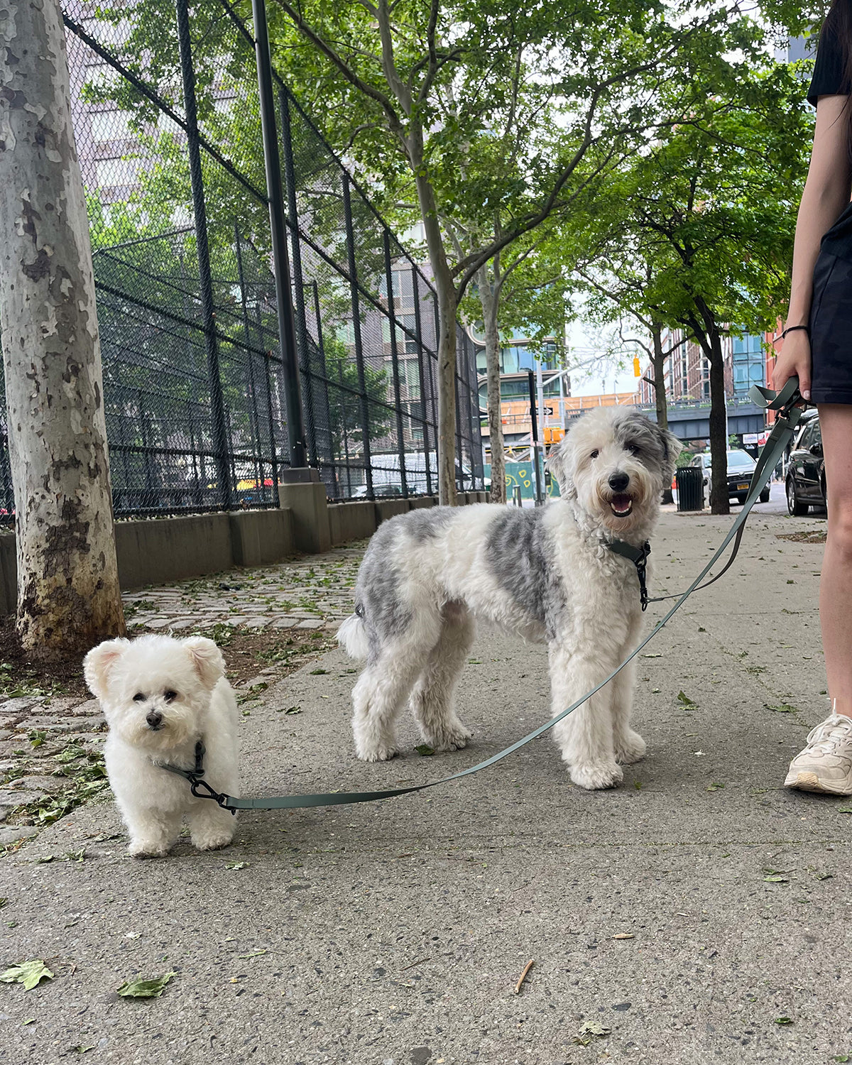 KNOX X LEASH CONNECTOR | מאריך לרצועה לכלב