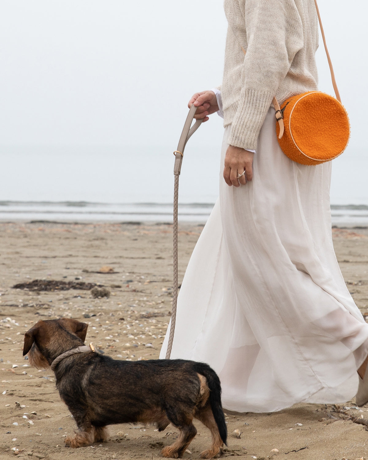 רצועת עור לכלב