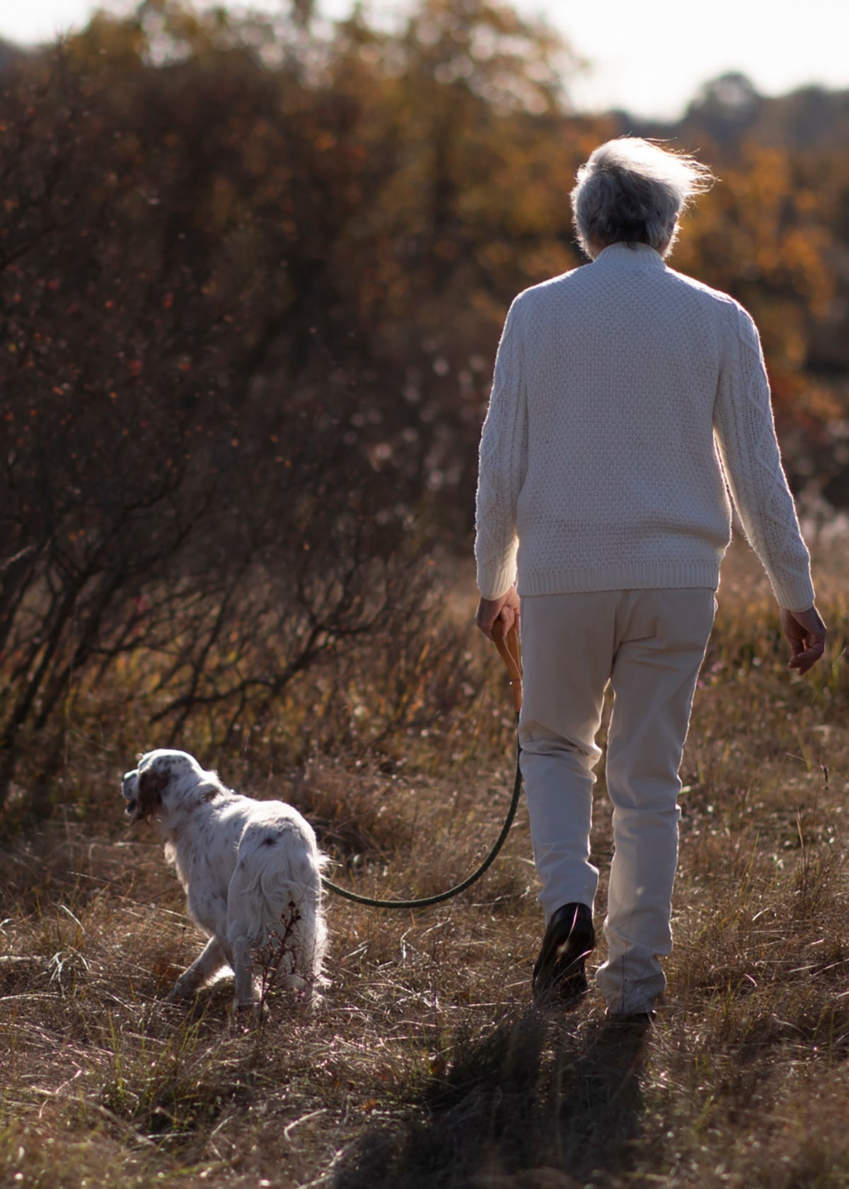 רצועת עור טבעוני לכלב