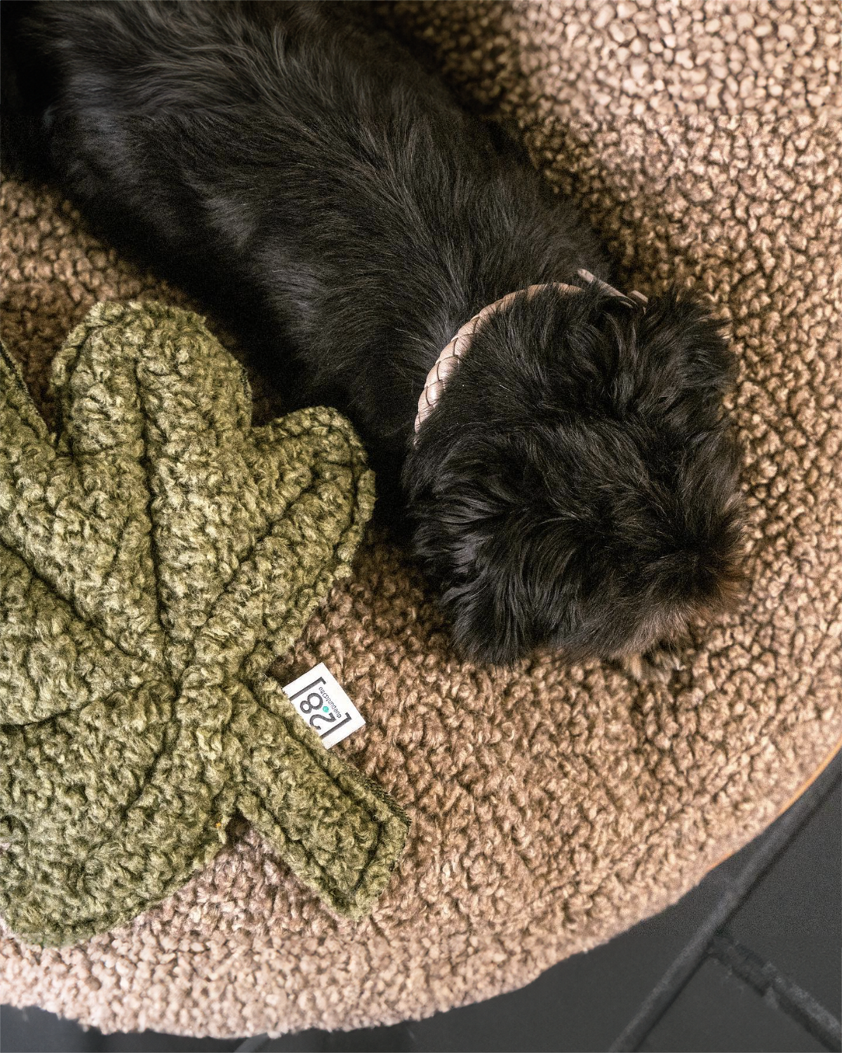 מיטת פוף לכלב