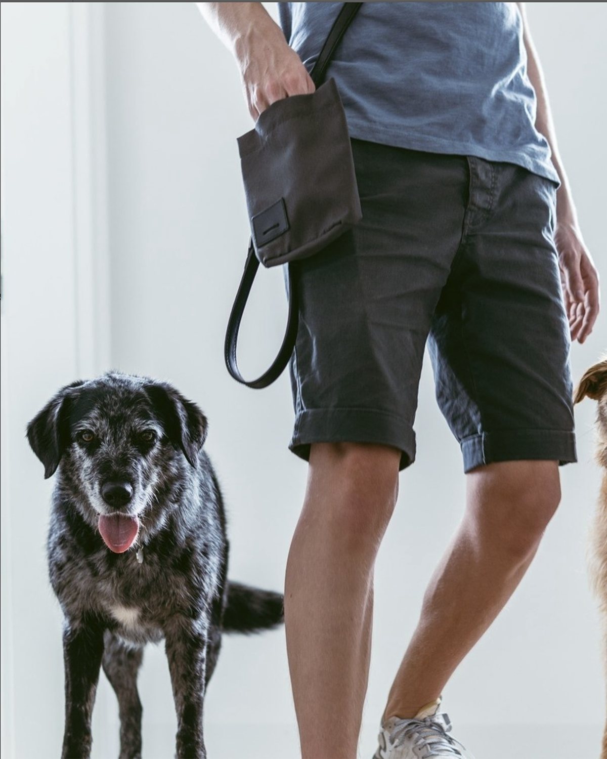 LUPO DOG TREAT BAG | נרתיק חטיפים לכלב