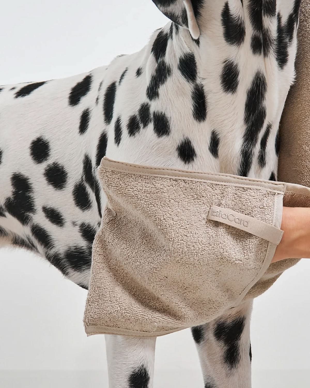 מגבת לכלב מכותנה אורגנית | MANO DOG TOWELS