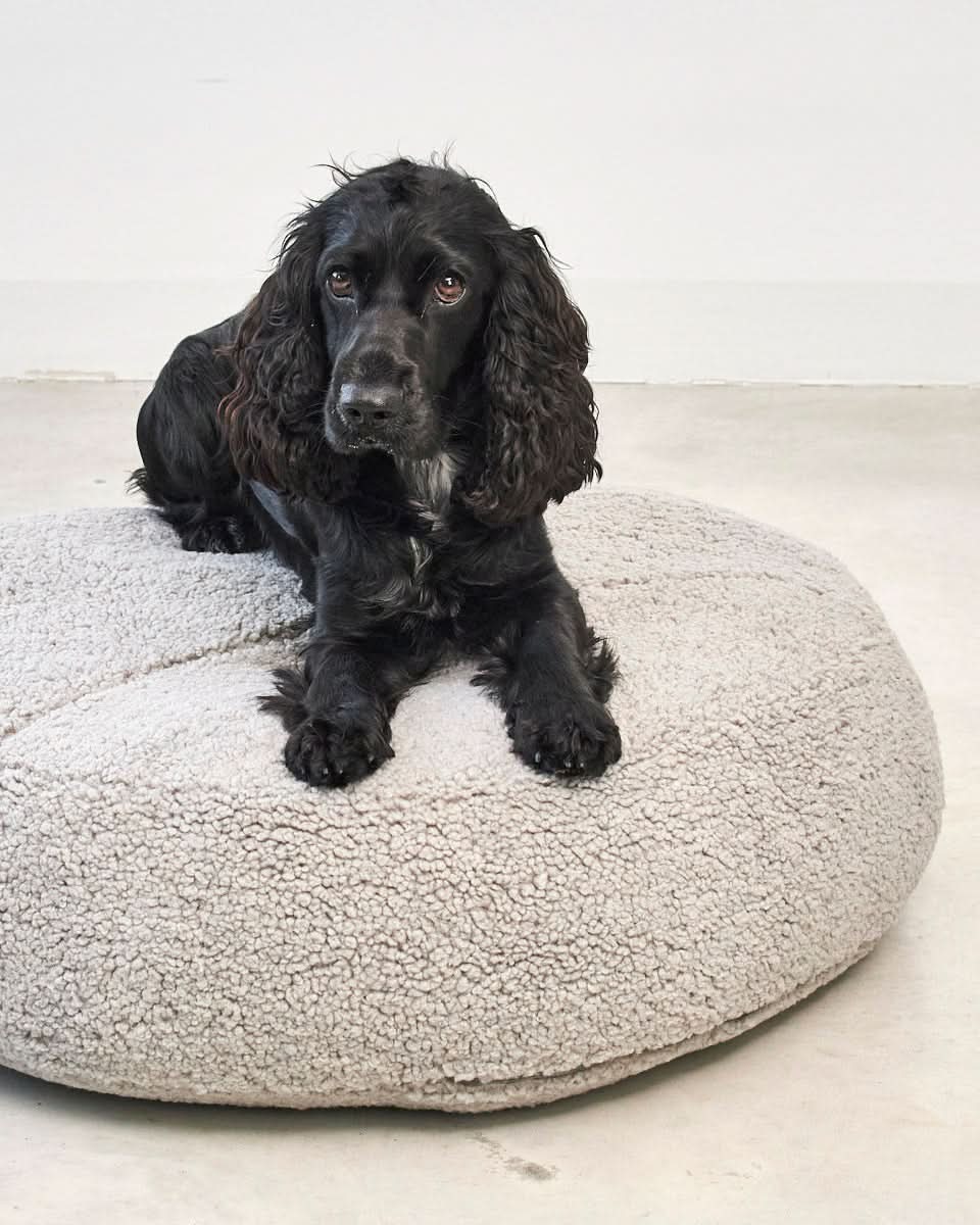 SENSO DOG ORTHOPEDIC POUFFE | מיטת פוף אורתופדית לכלב
