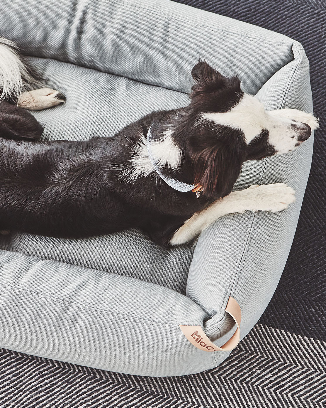 SONNO DOG BOX BED | מיטה לכלב