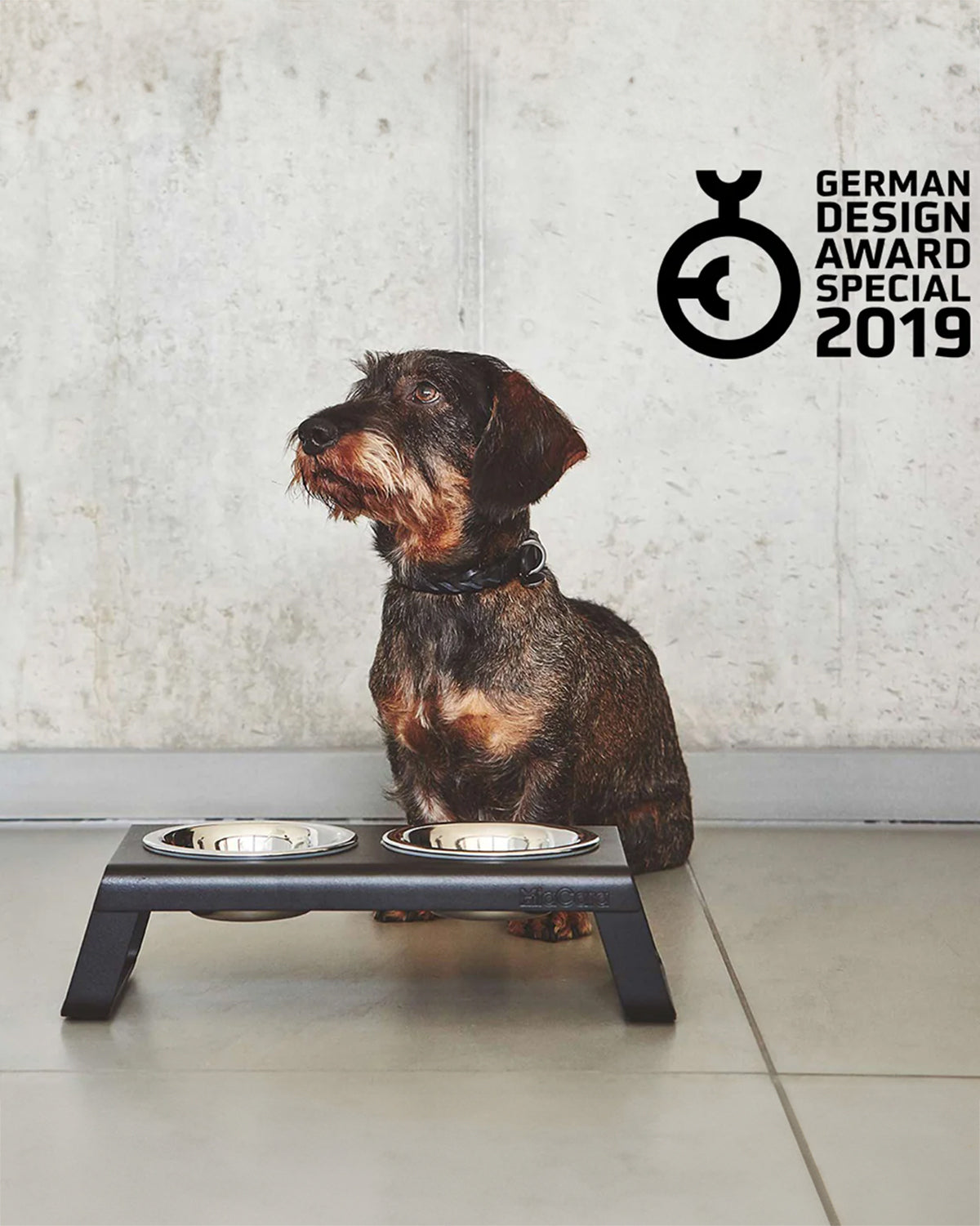 מעמד קערות מוגבה לכלב