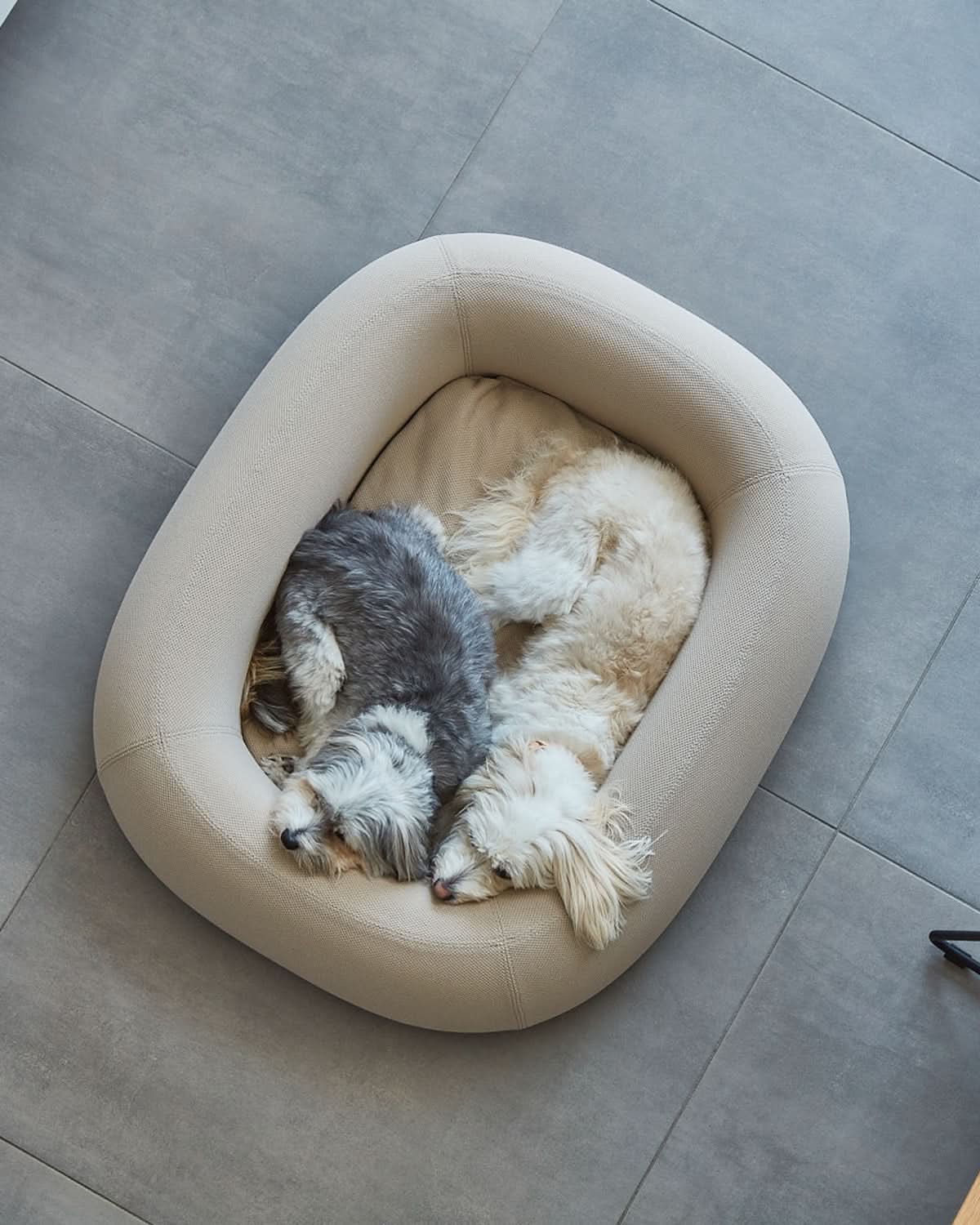 מיטה אורתופדית לכלב | BARCA ORTHOPEDIC DOG BED