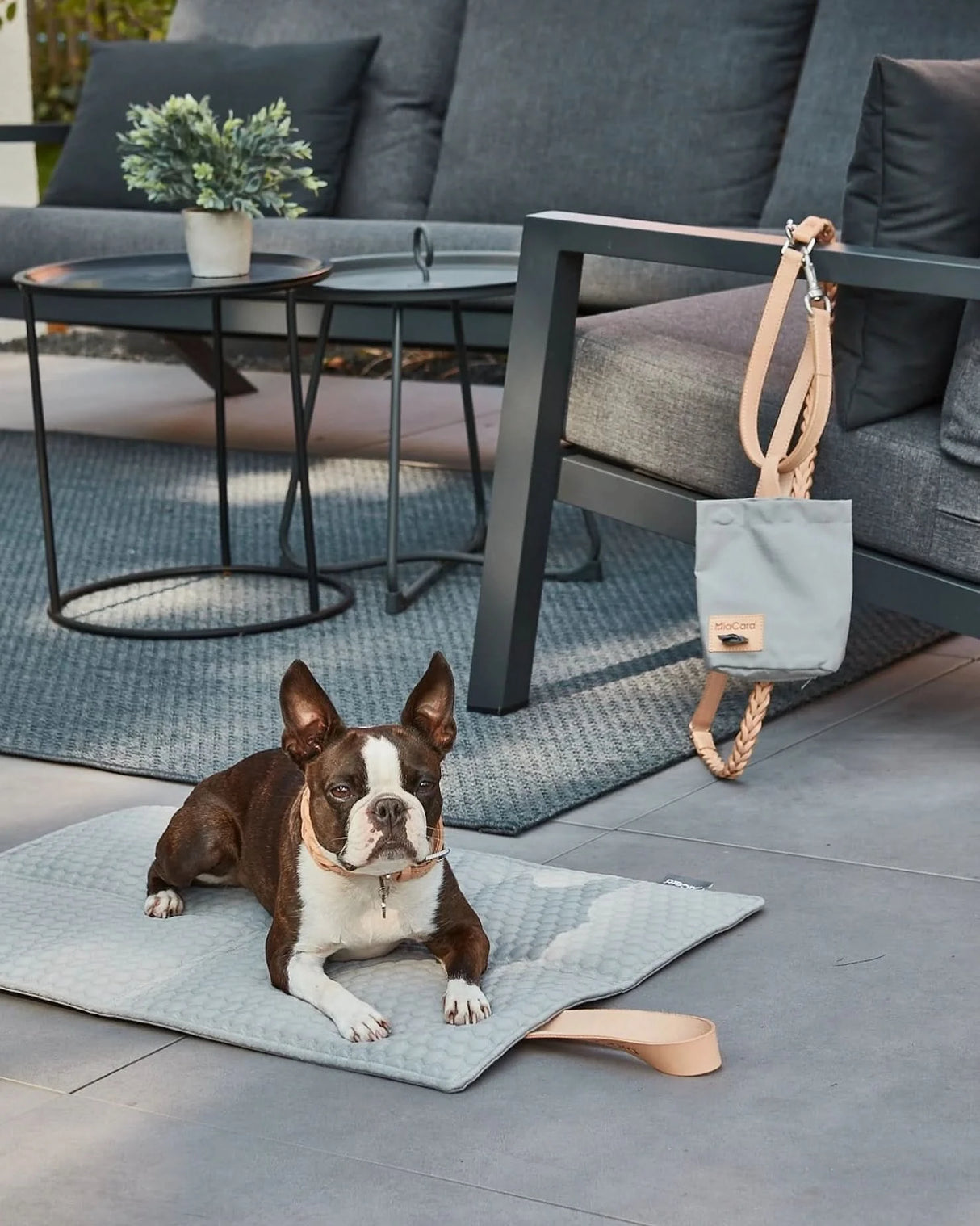 LUPO DOG TREAT BAG | נרתיק חטיפים לכלב