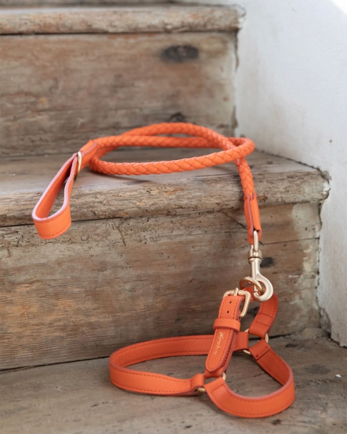 MARIO LEATHER HARNESS | רתמת עור לכלב