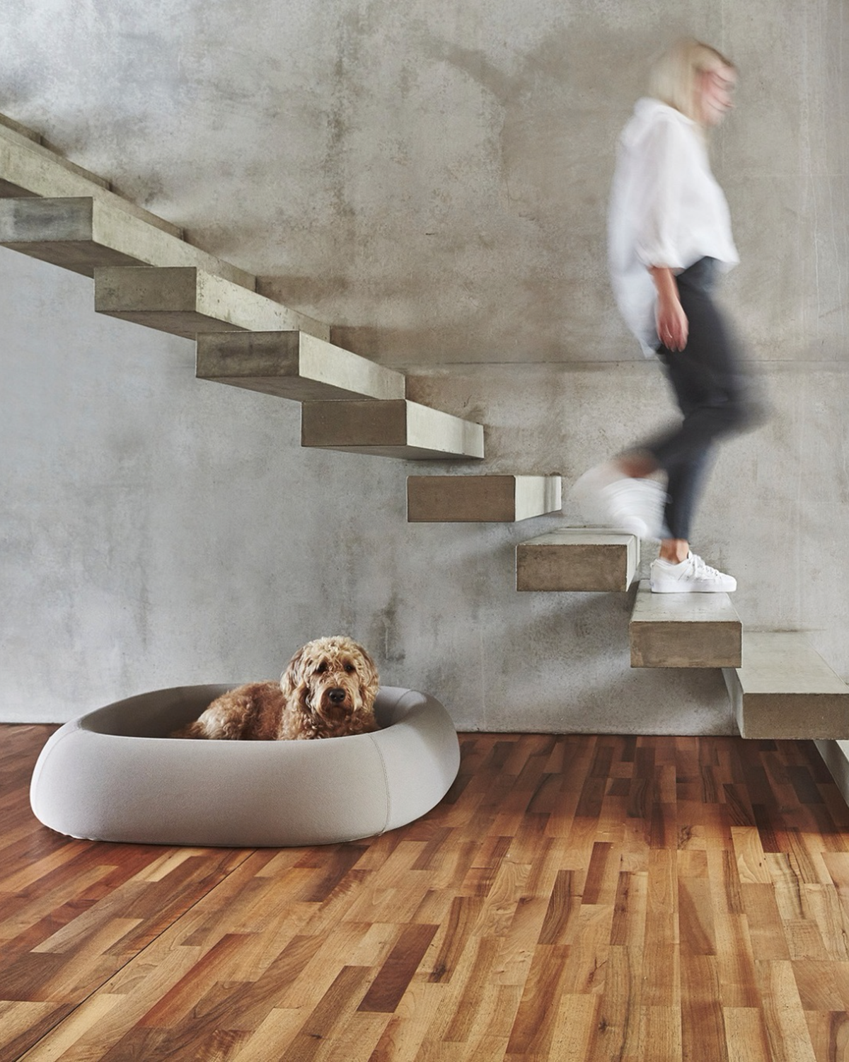 מיטה אורתופדית לכלב | BARCA ORTHOPEDIC DOG BED