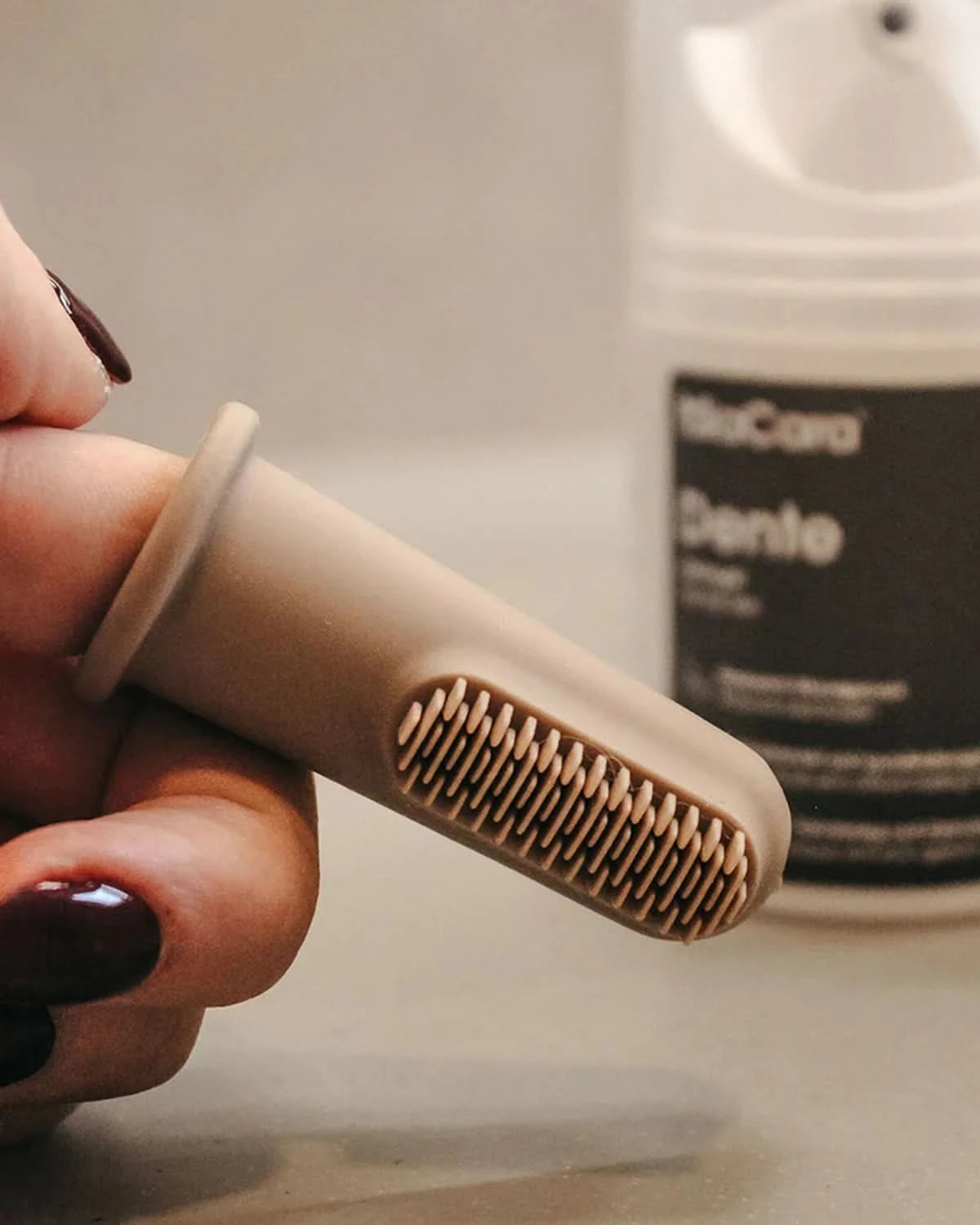 DITO DOG TOOTHBRUSH | סט מברשות שיניים לכלב