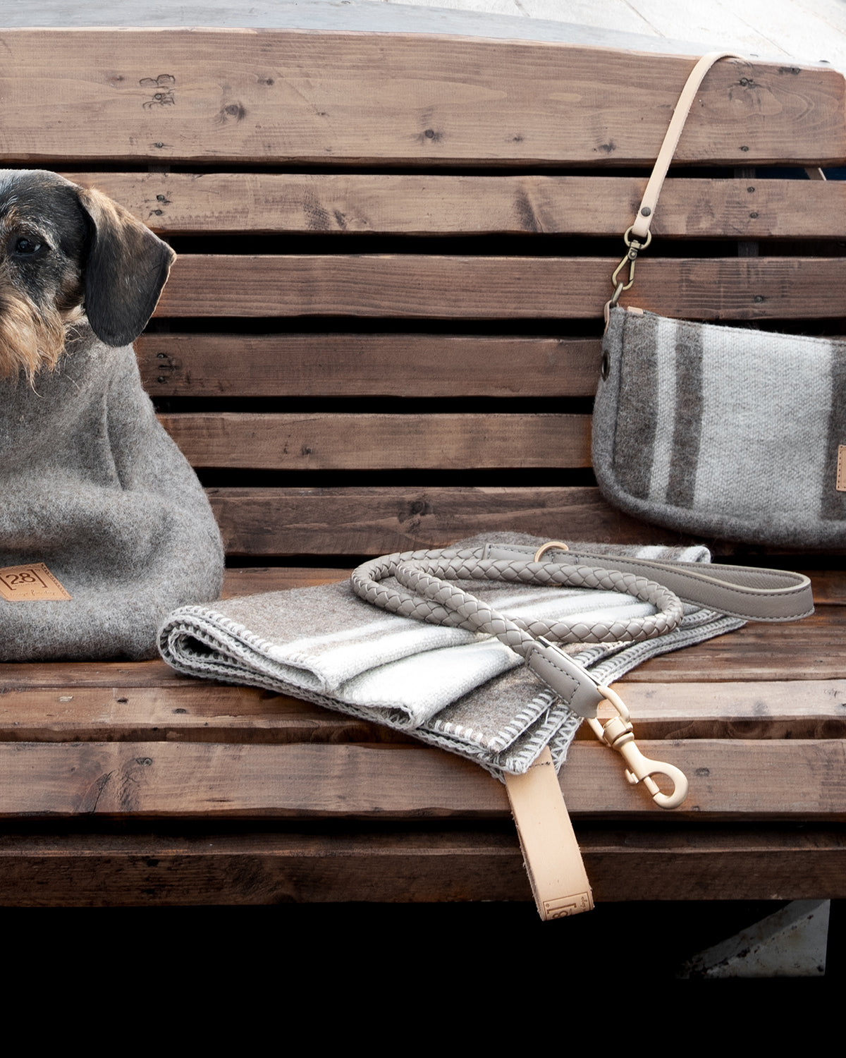 רצועת עור לכלב