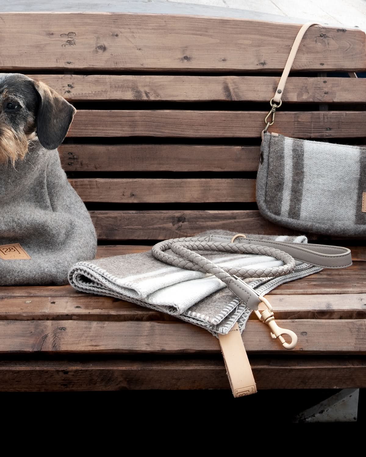 רצועת עור לכלב