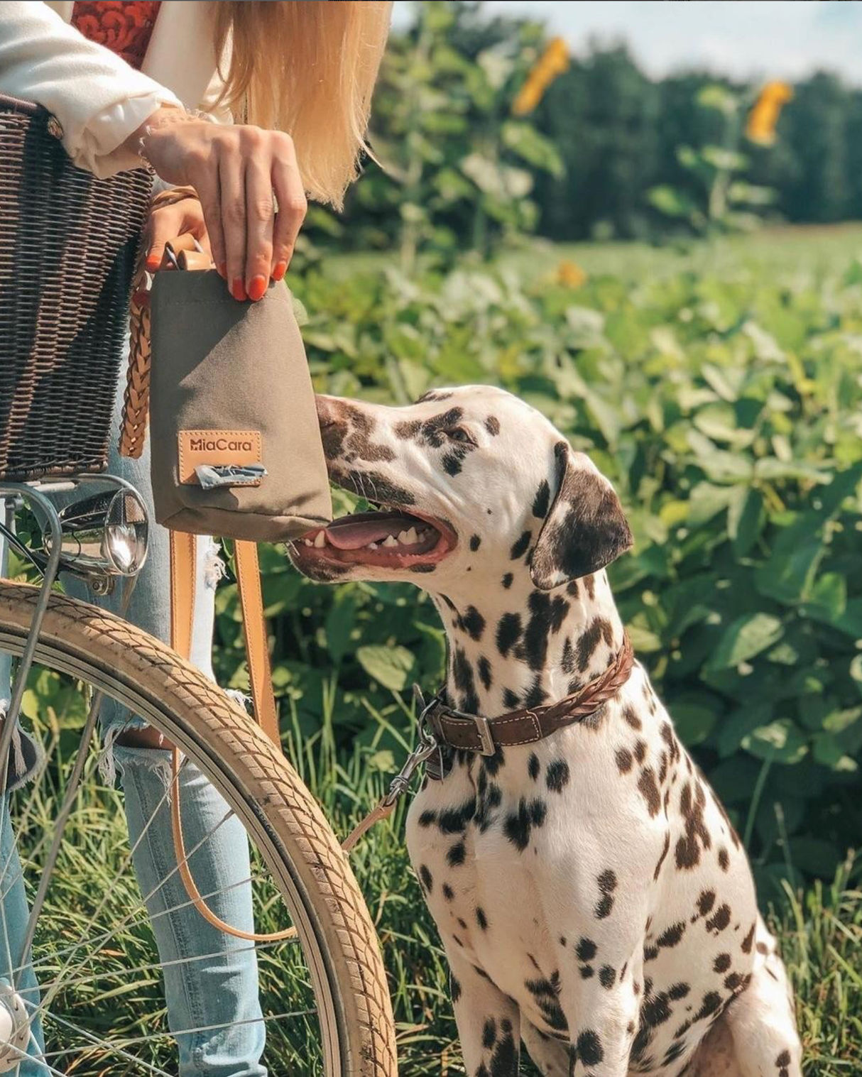 LUPO DOG TREAT BAG | נרתיק חטיפים לכלב